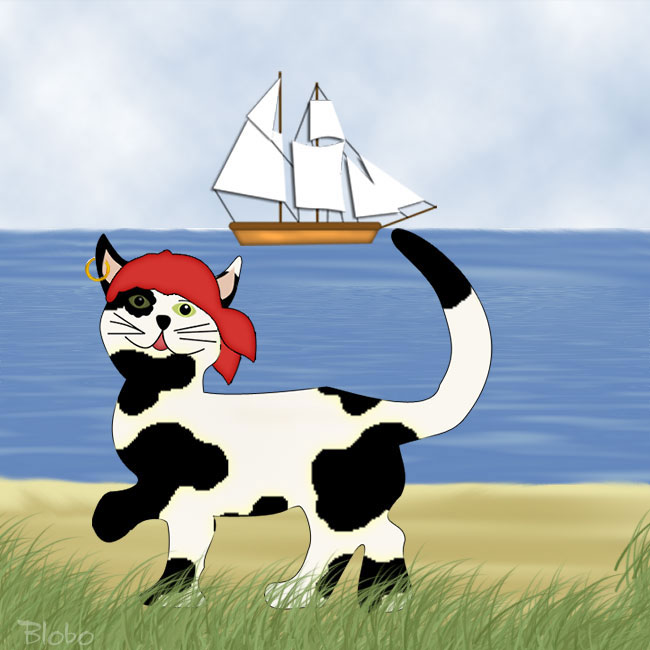 Piratenkatze